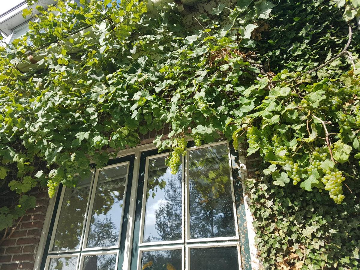 B&B De Panheide Hooghalen Bagian luar foto